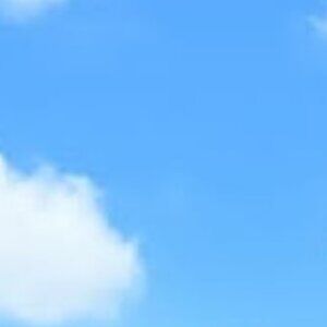 Meet your Posher, Chelsea